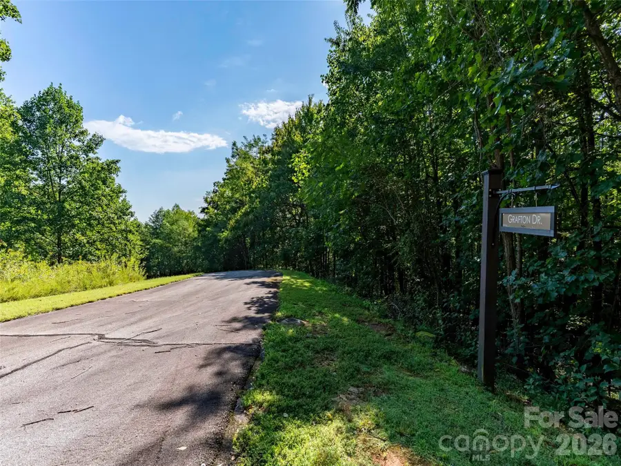 Lot 177 Grafton None, Mill Spring, NC 28756 - #3