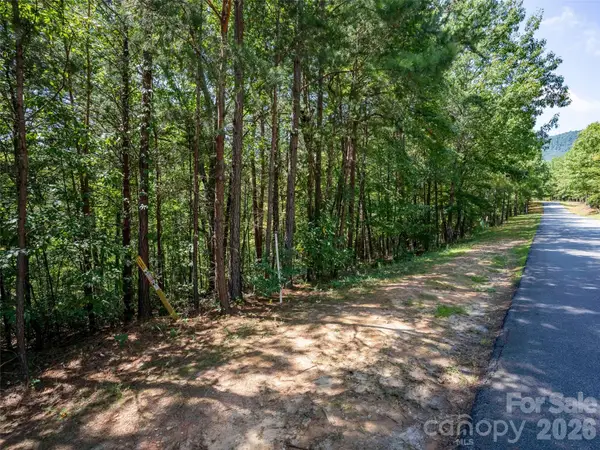 Lot 2010 Deep Gap Farm None W, Mill Spring, NC 28756