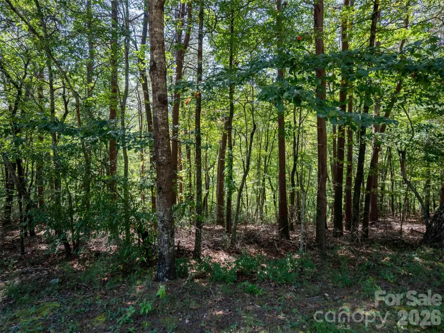Lot 2010 Deep Gap Farm None W, Mill Spring, NC 28756 - #2