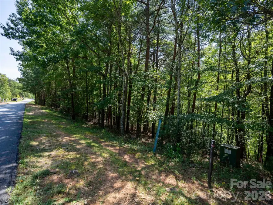 Lot 2010 Deep Gap Farm None W, Mill Spring, NC 28756 - #3