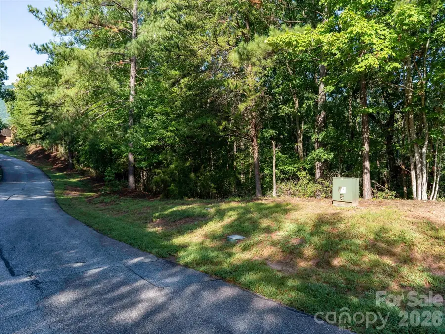 0 Woodward Drive #12, Mill Spring, NC 28756 - #2