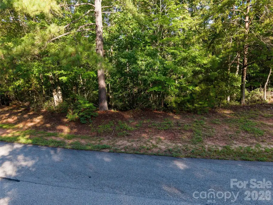 0 Woodward Drive #12, Mill Spring, NC 28756 - #3