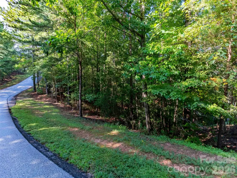 0 Deep Gap Farm Drive E #34, Mill Spring, NC 28756 - #2