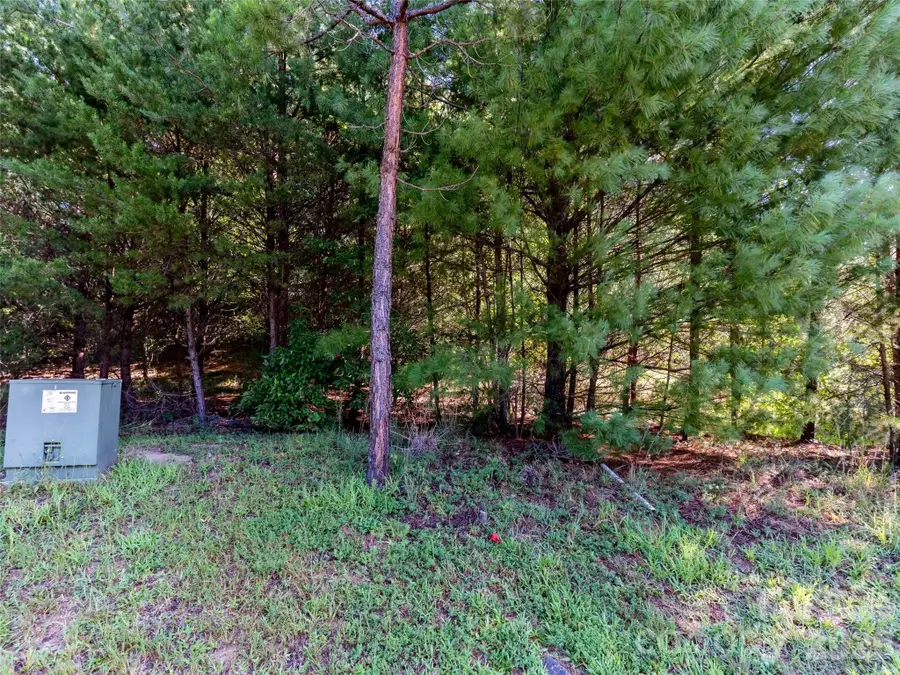 0 Elkton Court W #138, Mill Spring, NC 28756 - #2