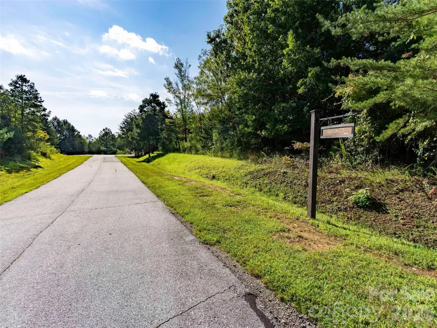 0 Elkton Court W #138, Mill Spring, NC 28756 - #3