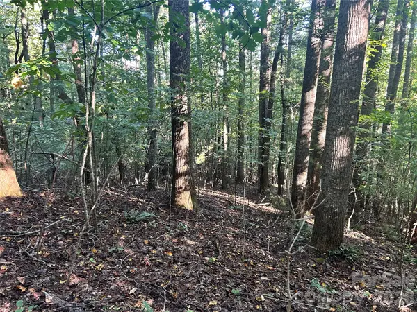 TBD Mt Hebron Road #36, Hendersonville, NC 28739