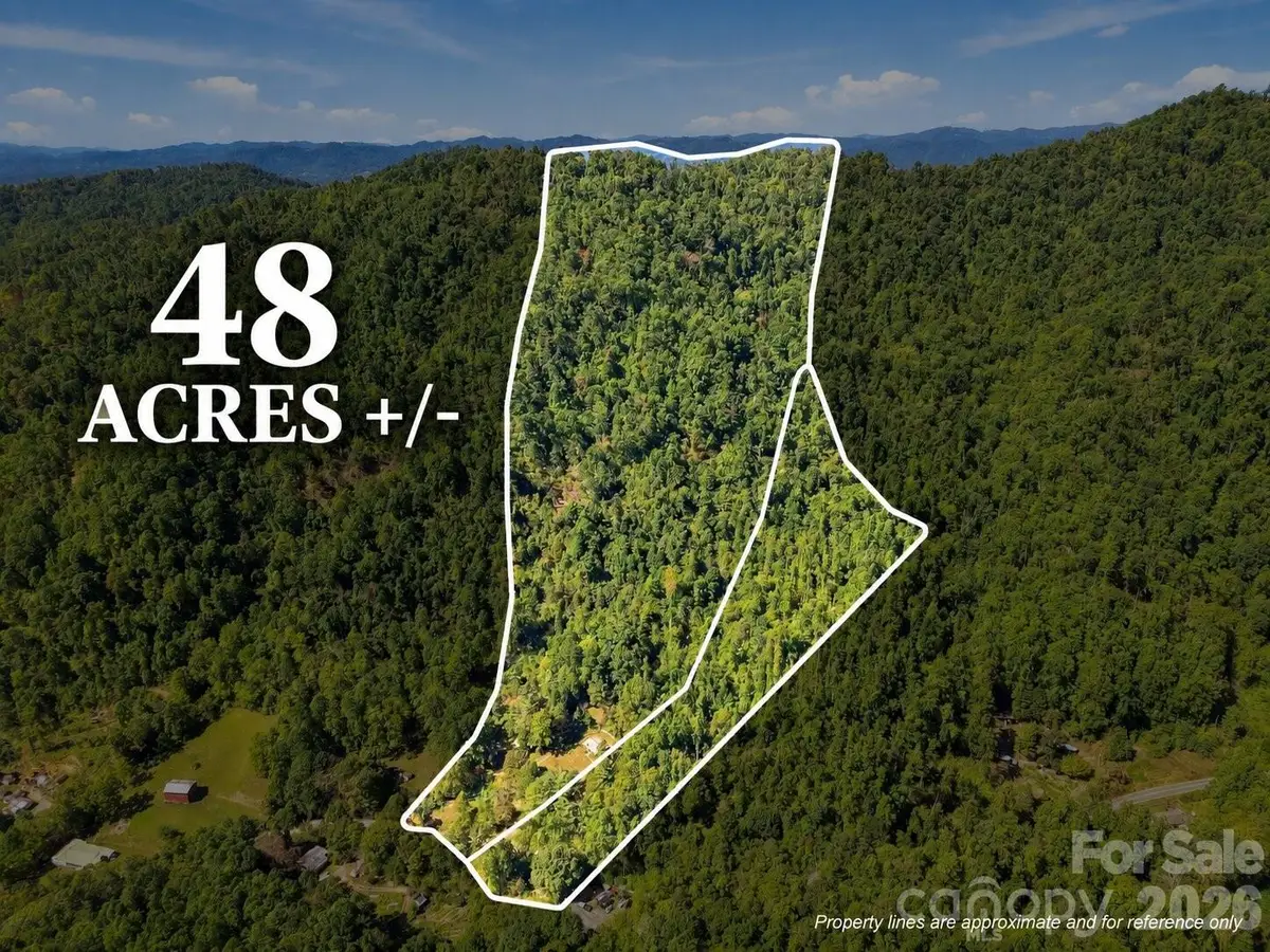 360 Poverty Branch Road, Barnardsville, NC 28709 - #1