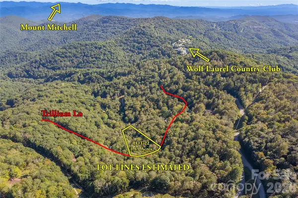 22 Trillium Lane #22, Mars Hill, NC 28754