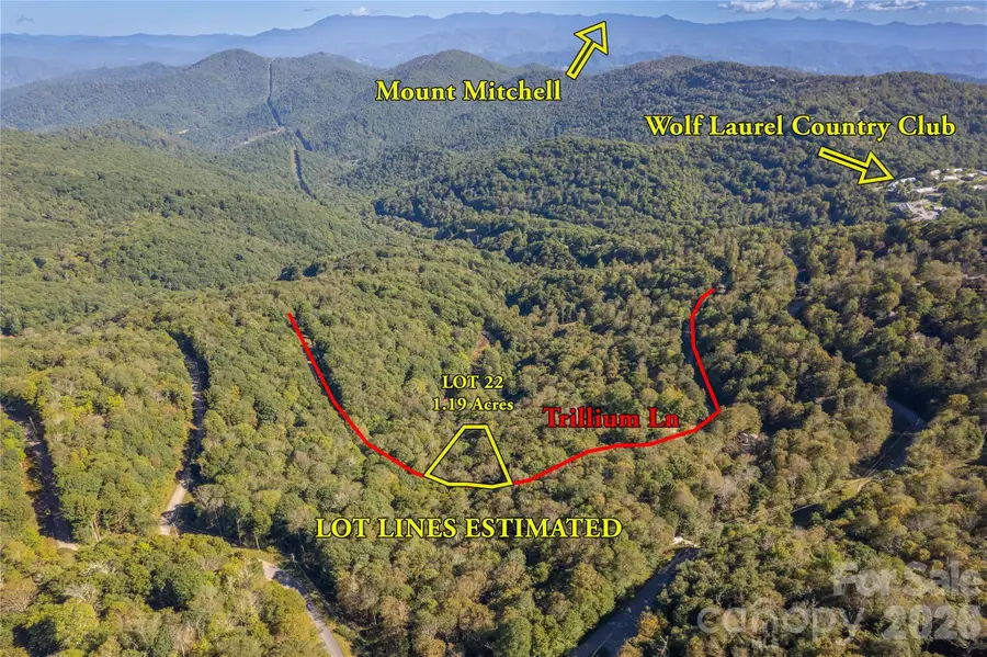 22 Trillium Lane #22, Mars Hill, NC 28754 - #3