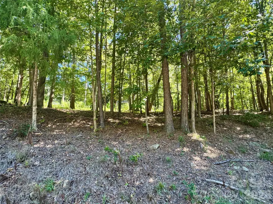 10062 Southwinds Drive, Indian Land, SC 29707 - #2