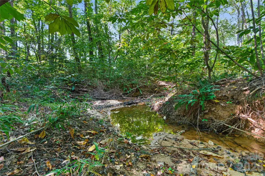 0000 Narrow Bridge Road #1, Chester, SC 29706 - #3