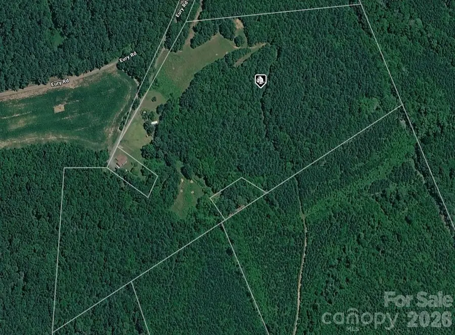 16252 Eury Road, Norwood, NC 28128 - #3