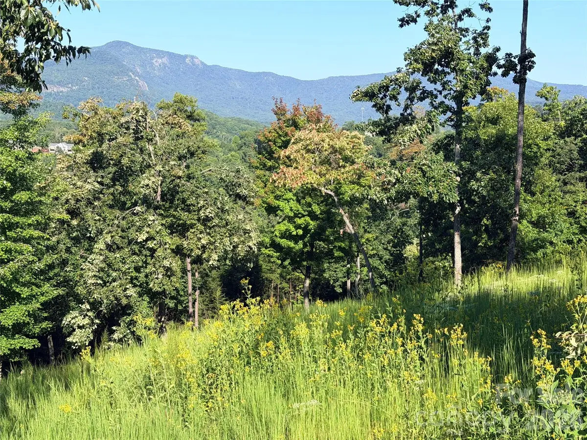 0 Summertime Drive, Lake Lure, NC 28746 - #1