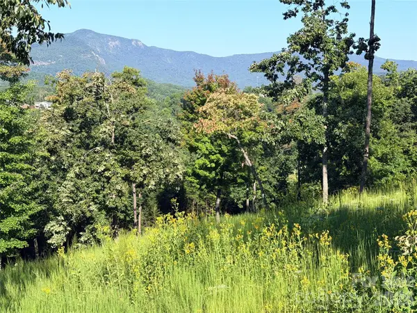 0 Summertime Drive, Lake Lure, NC 28746