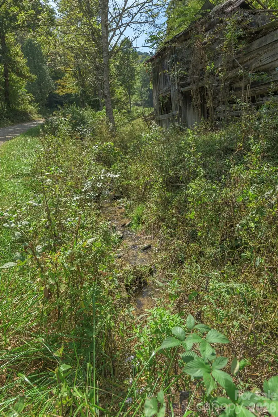 10281 White Oak Road, Waynesville, NC 28785 - #3