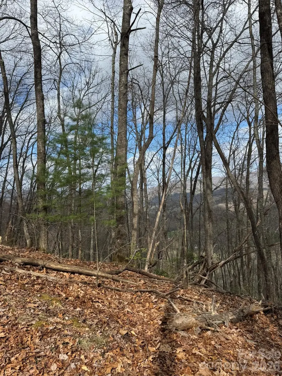 1 E Wabash Drive, Sylva, NC 28779 - #3