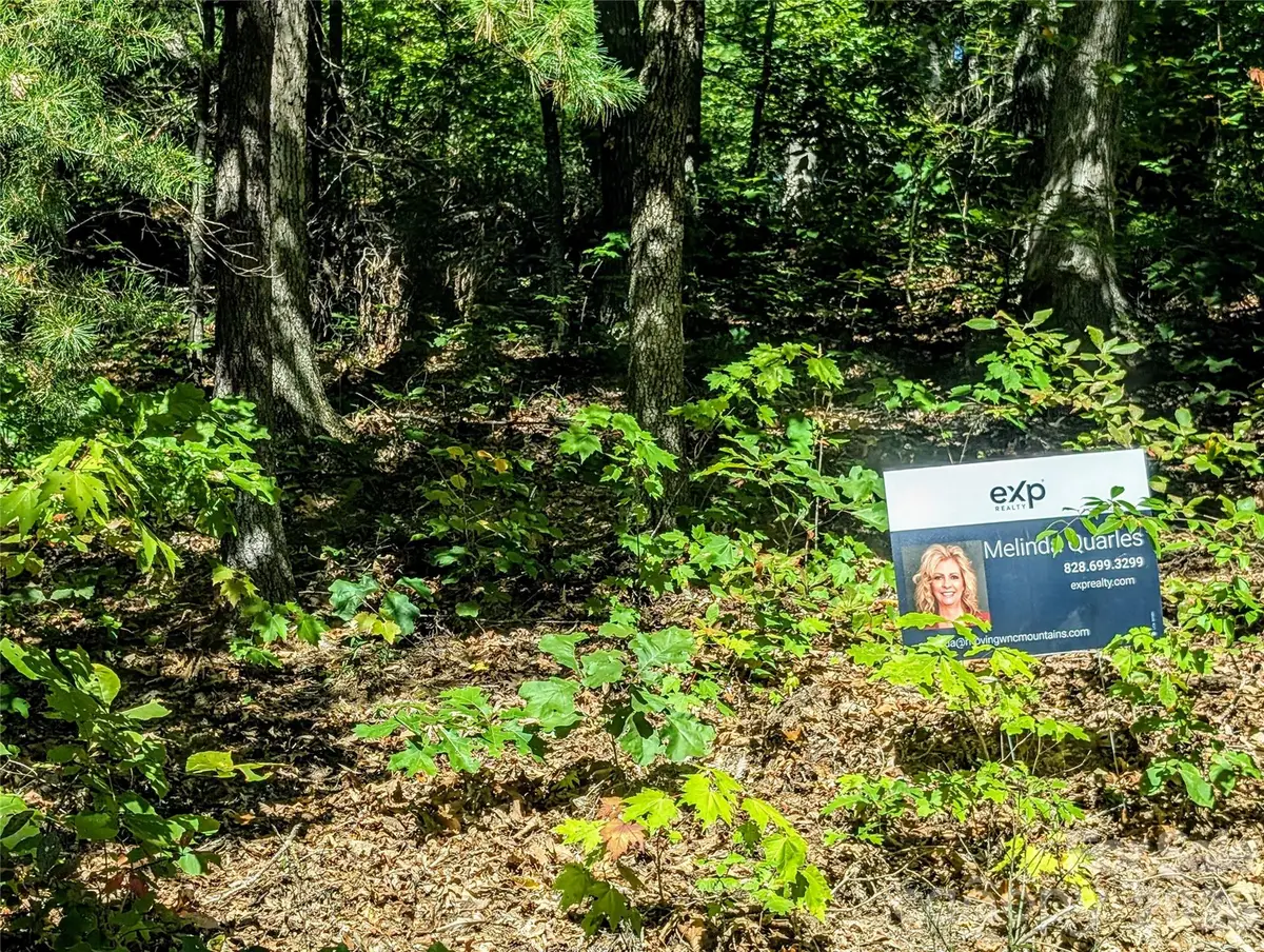0000 Mackenzie Way, Swannanoa, NC 28778 - #1