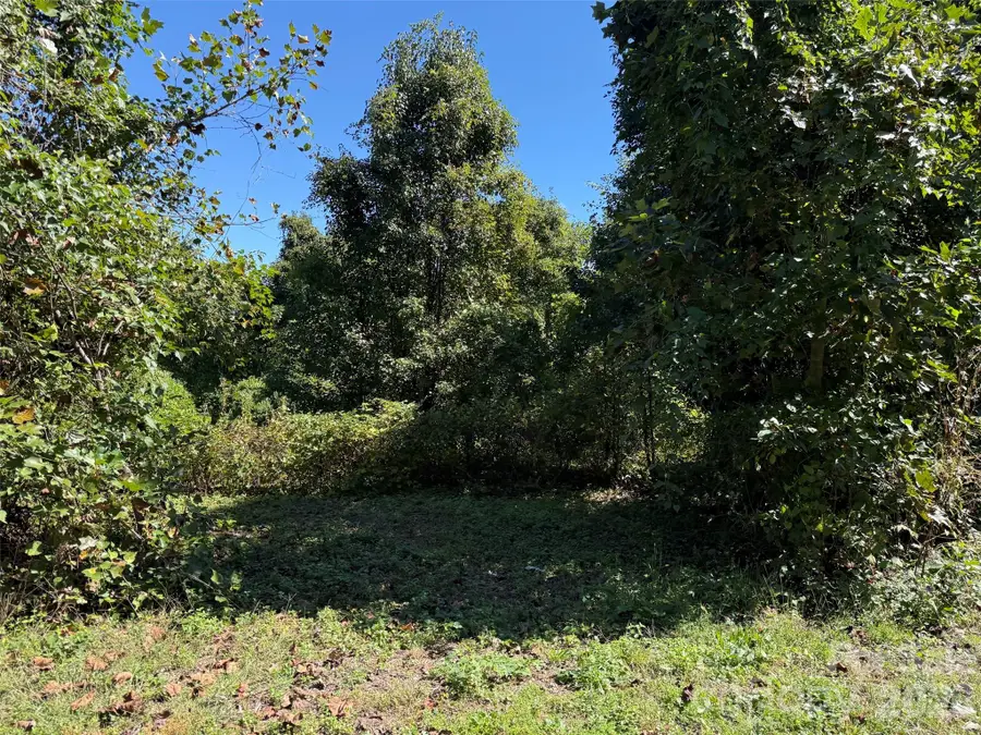 Lot 4 Bronco Pass, East Flat Rock, NC 28731 - #3