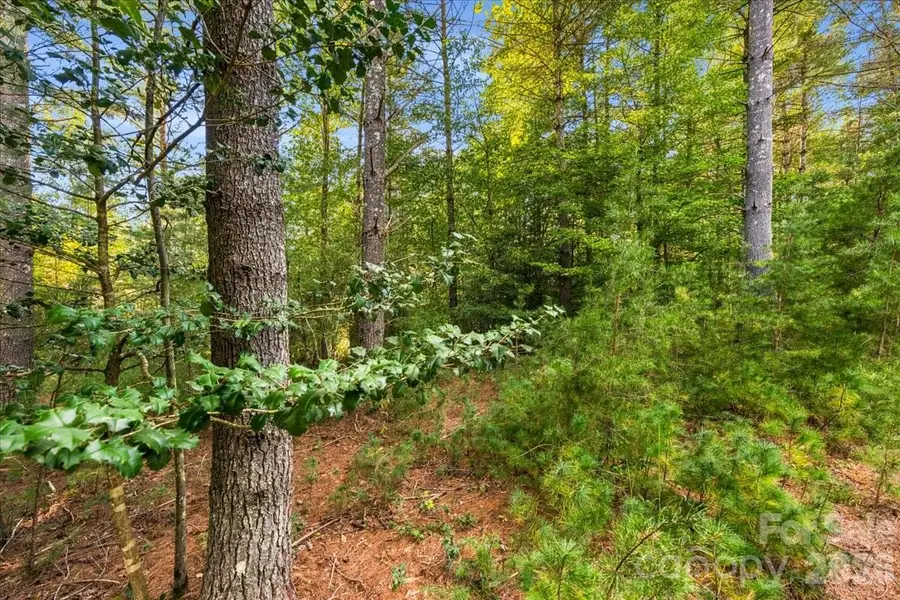 60 Kingfisher Terrace #107, Nebo, NC 28761 - #3