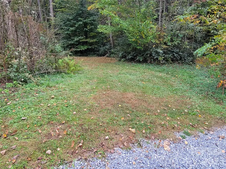 1061 Caldwell Drive, Maggie Valley, NC 28751 - #3