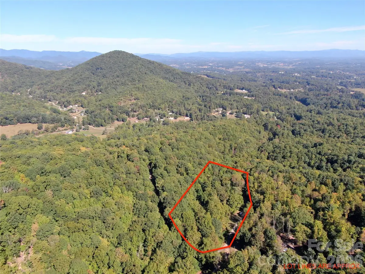 99999 Destiny Farms Drive, Leicester, NC 28748 - #1