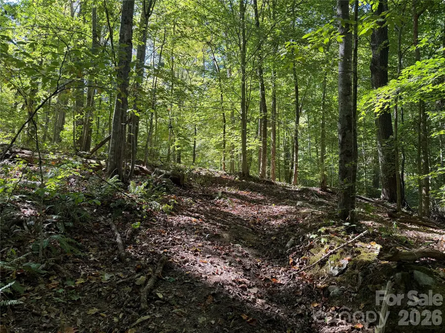 99999 Destiny Farms Drive, Leicester, NC 28748 - #3