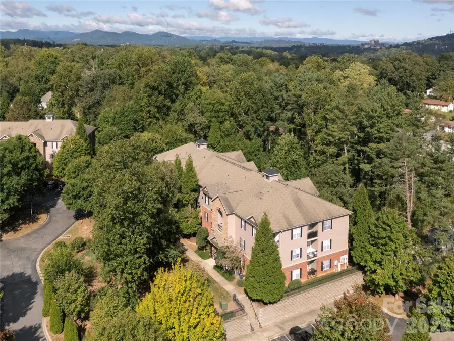 437 Appeldoorn Circle, Asheville, NC 28803 - #2
