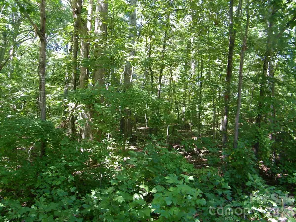 113 Chippewa Trail, China Grove, NC 28023