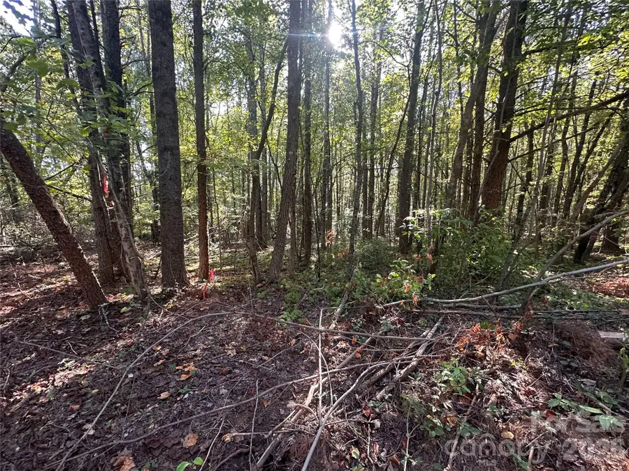 84 Sunrise Trail, Lincolnton, NC 28092 - #2