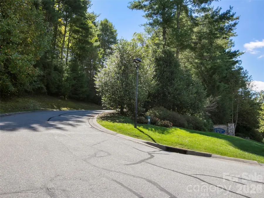 00 Holly Haven Court #1, Mills River, NC 28759 - #2