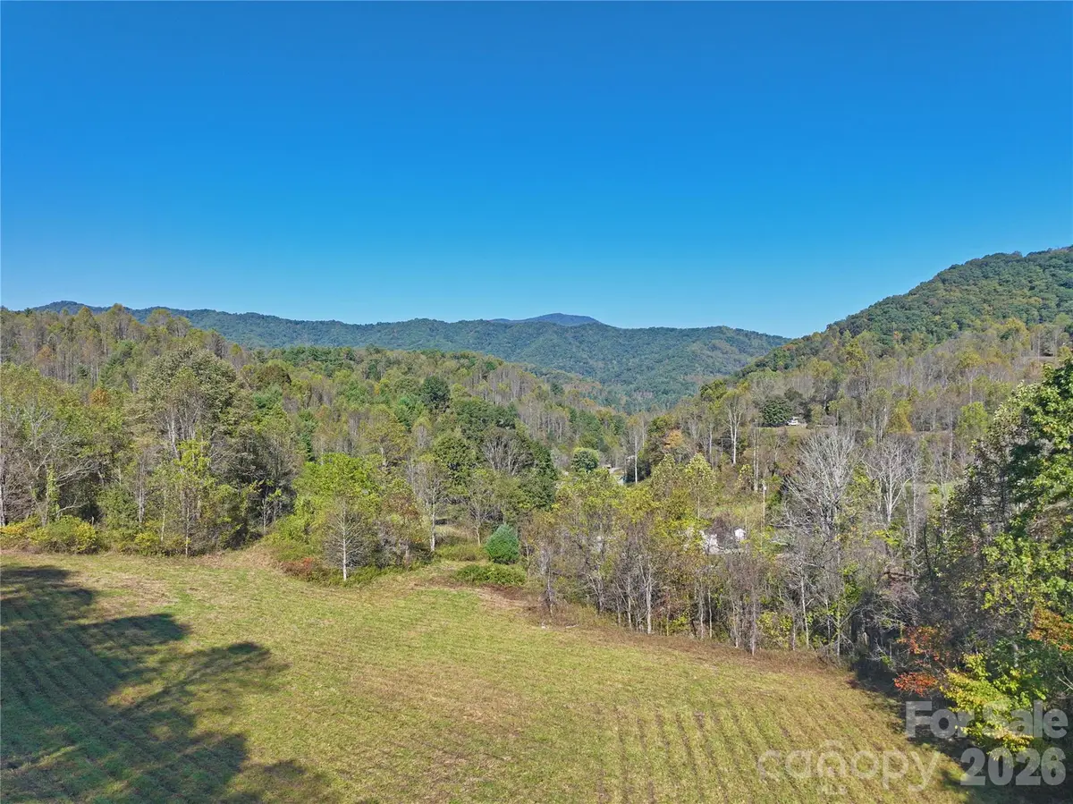 TBD Baltimore Branch Road, Hot Springs, NC 28743 - #1