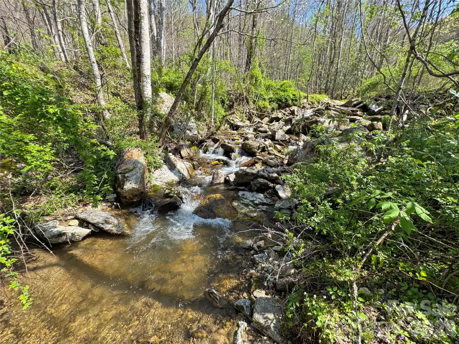 TBD Baltimore Branch Road, Hot Springs, NC 28743 - #3