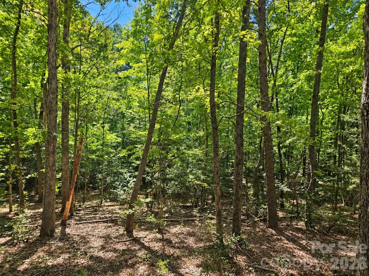 236 Sugar Loaf Road, Troy, NC 27371 - #1