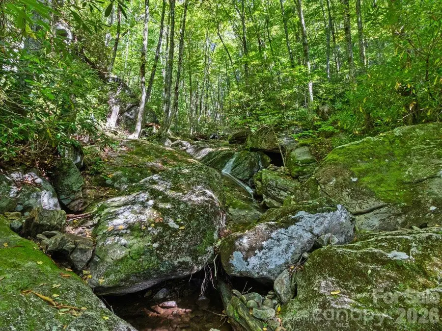 2554 Winter Star Road, Burnsville, NC 28714 - #3