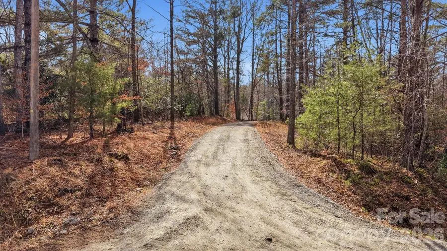 00003 Ray Hill Road, Mills River, NC 28759 - #2