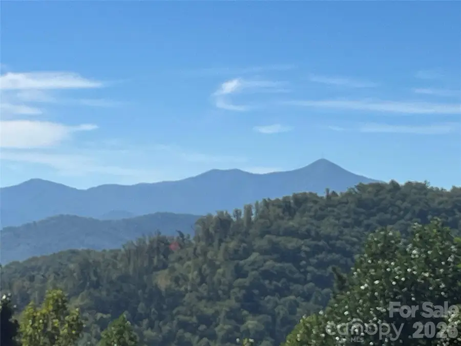 121 Hidden Meadow Drive, Candler, NC 28715 - #2