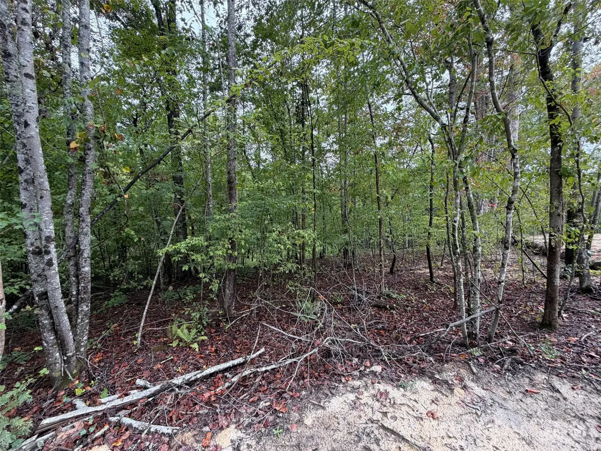 V/L W V Thompson Road, Rutherfordton, NC 28139 - #1
