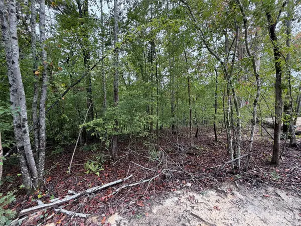 V/L W V Thompson Road, Rutherfordton, NC 28139