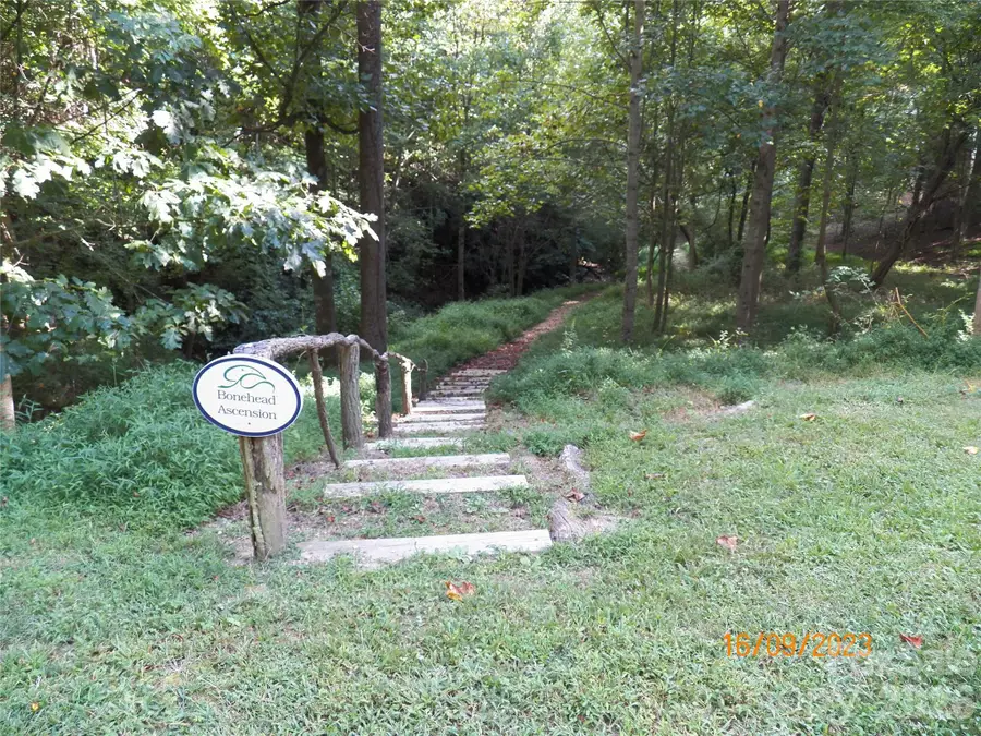 270 Somersby Parkway, Laurel Park, NC 28739 - #3