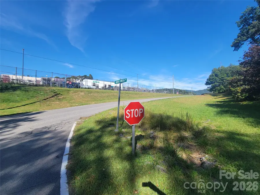 00 Liner Cove Road #00, Waynesville, NC 28786 - #2