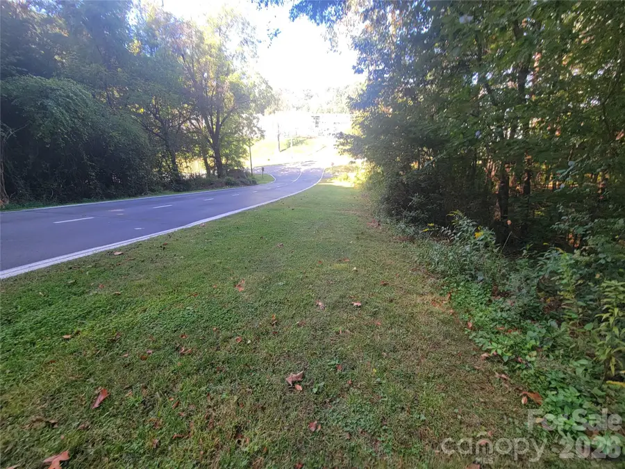 00 Liner Cove Road #00, Waynesville, NC 28786 - #3