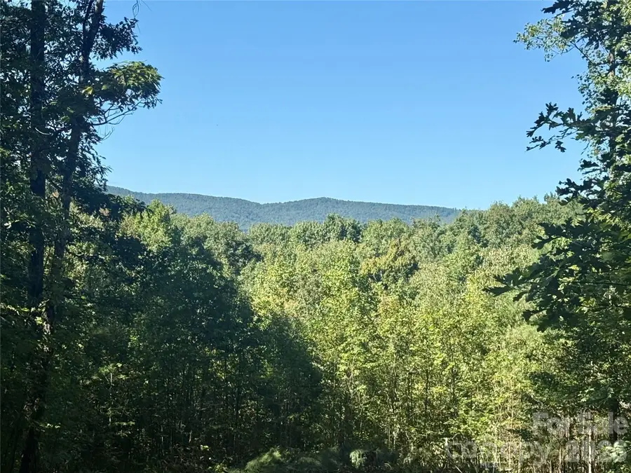 V/L Grandview Loop #376, Nebo, NC 28761 - #3