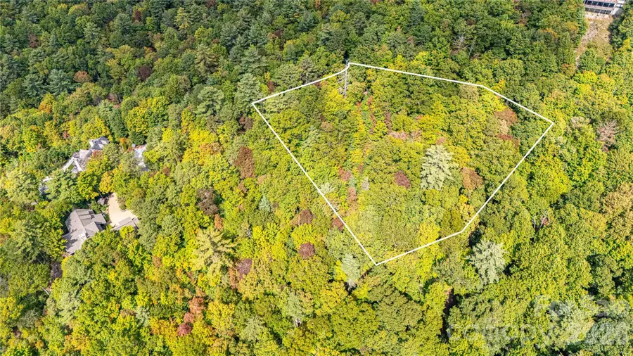 49R Quartz Mine Road #49R, Lake Toxaway, NC 28747 - #2