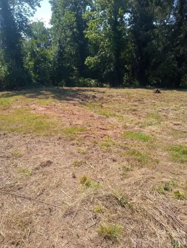 116 Starnes Cove Road, Asheville, NC 28806 - #2