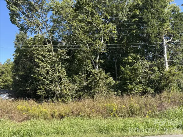 0 Railroad Street, Cleveland, NC 27013