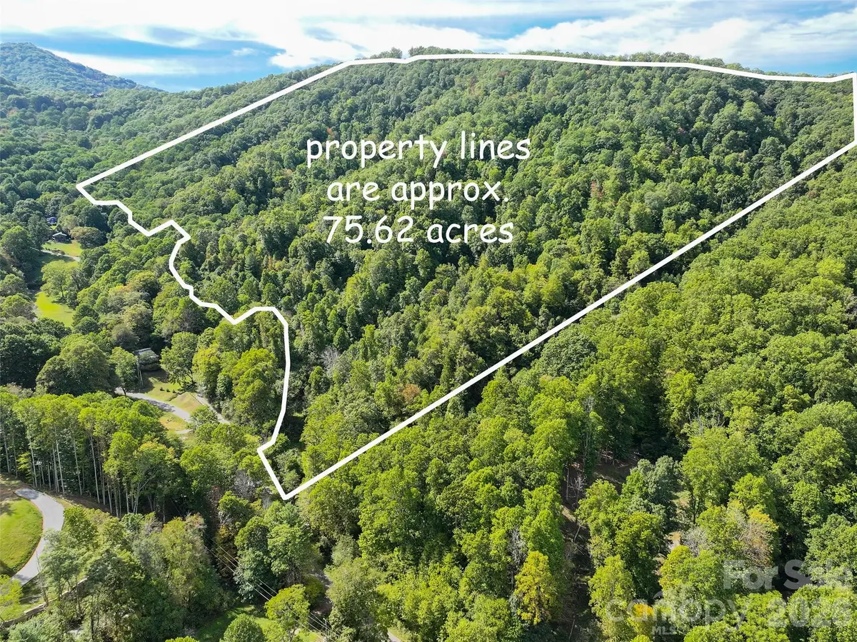 000 Mauney Cove Road, Waynesville, NC 28786 - #1