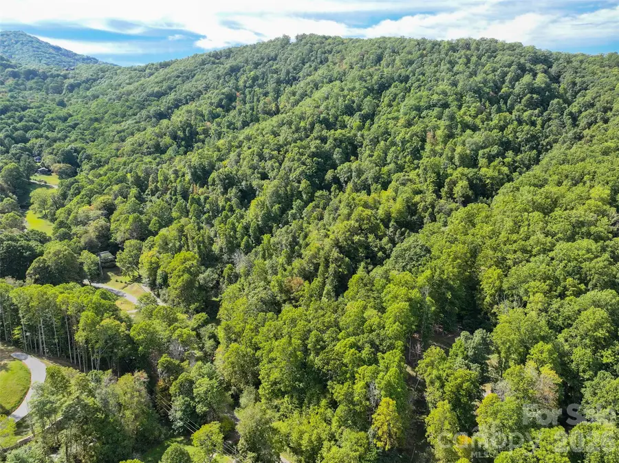 000 Mauney Cove Road, Waynesville, NC 28786 - #3
