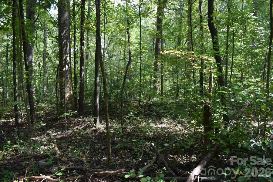 #167 Rolling Road, Lincolnton, NC 28092 - #3