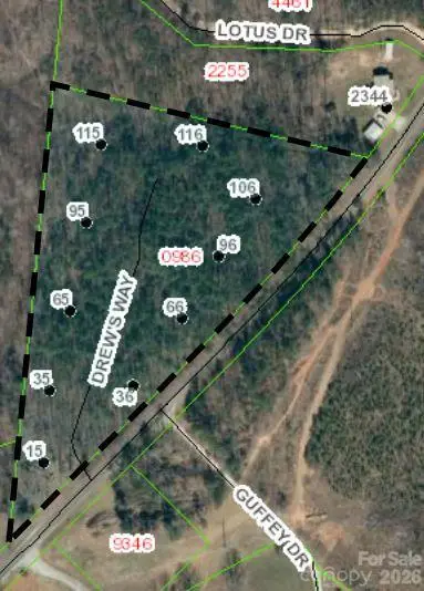 15 Vein Mountain Road #1, Dysartsville, NC 28761 - #2