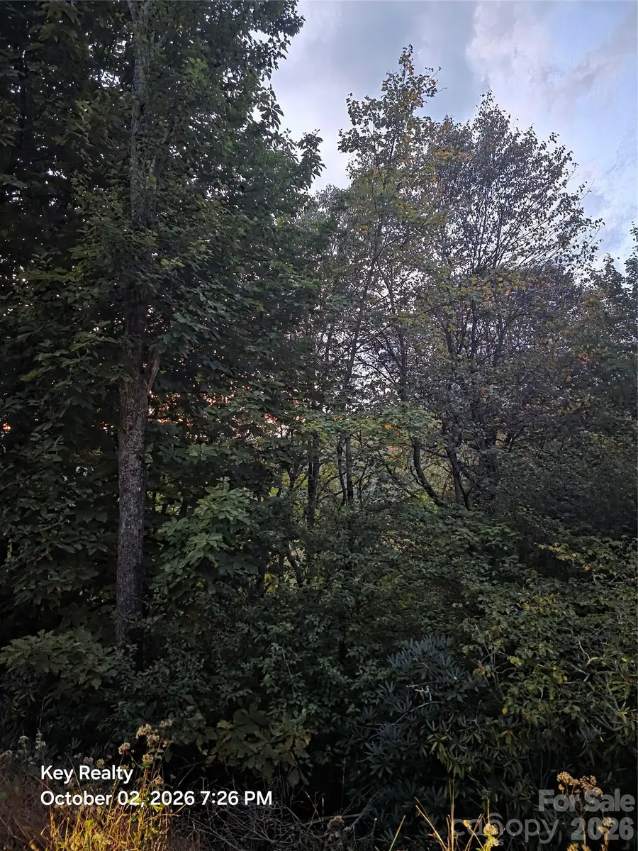 0000 Forest Lane, Blowing Rock, NC 28605 - #2